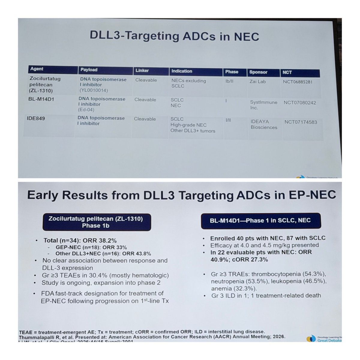Dr. Cathy Eng (@CathyEngMD) — OLN Great Debates 2026 — Neuroendocrine Tumors data slide 1