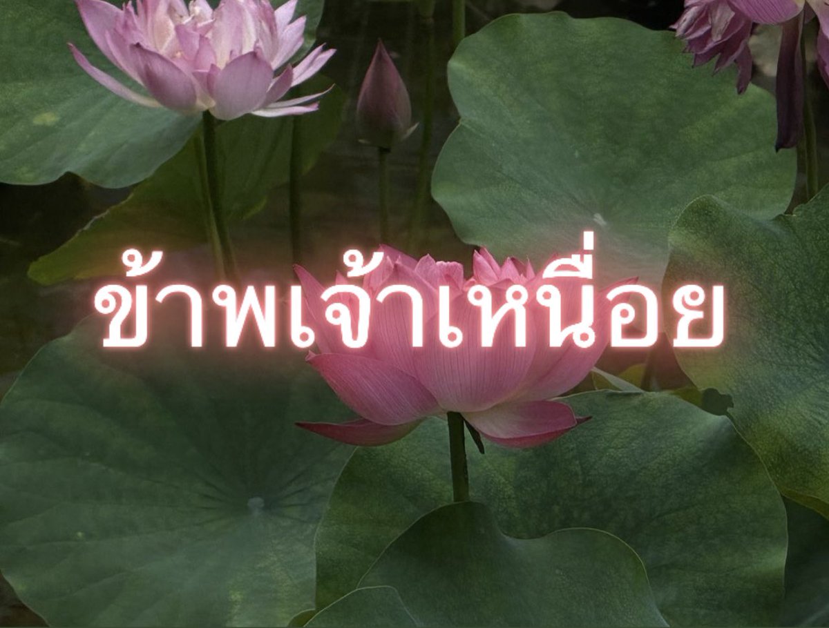 Iaunza's tweet photo. ข้าพเจ้าท้อ https://t.co/eRZDvAIj7F