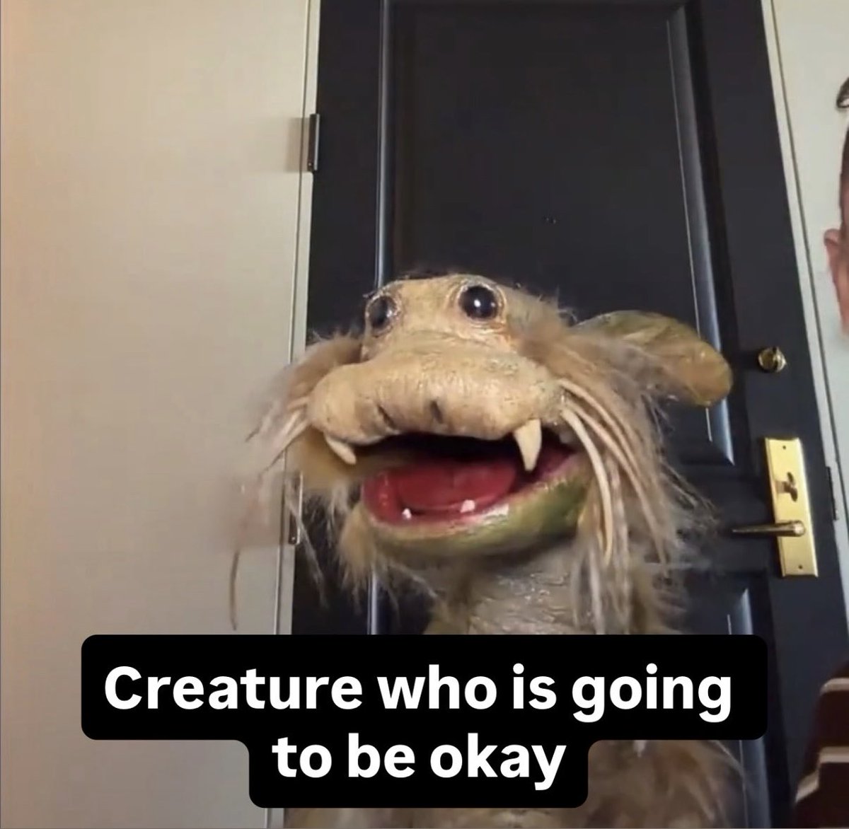 woodlndcreature's tweet photo. https://t.co/s8X9RuSRKv