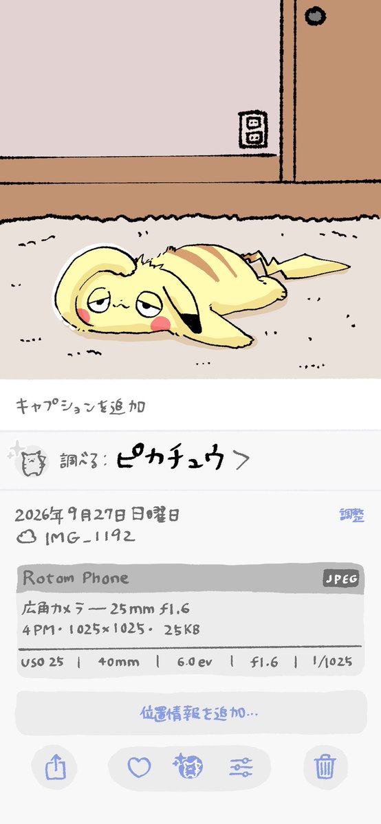 ilililli's tweet photo. 猫、アイホョンで撮った写真が違う種類判定されてるとフフ…となるのでピカチュウの形態模写力ならかなりいけるのではないかという遊び https://t.co/JSp536mEhd