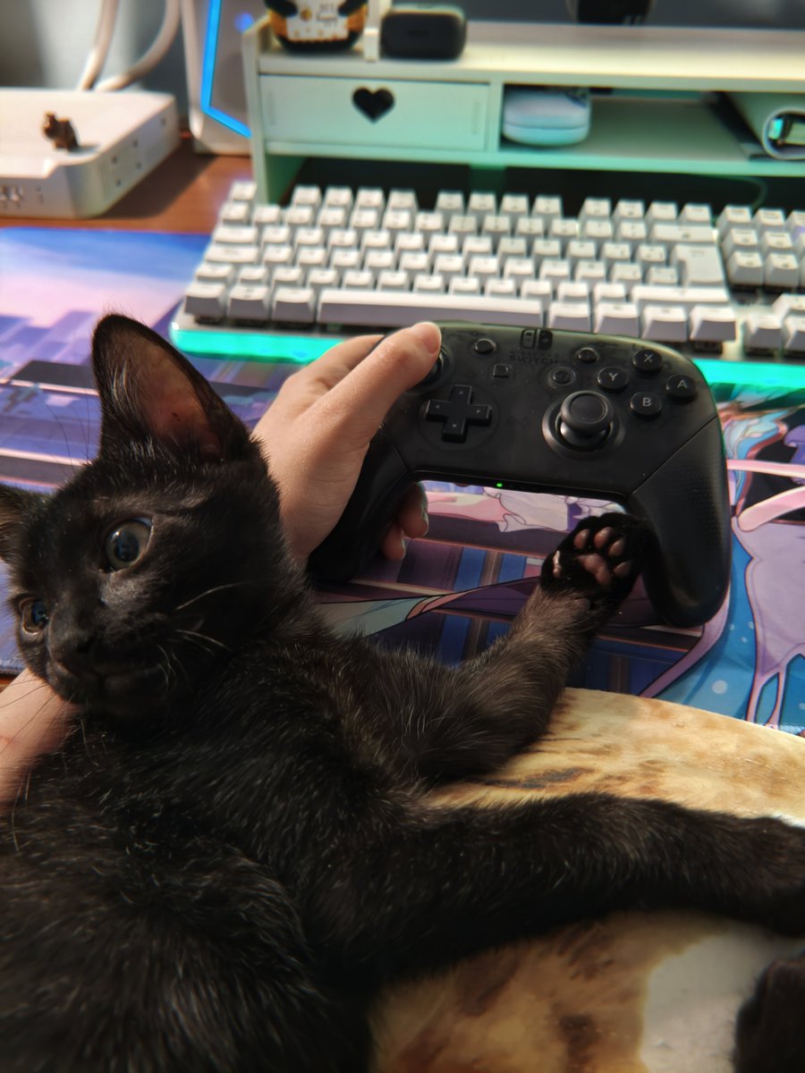 Anezka_Astora's tweet photo. No entiende que el Zelda no es cooperativo 😭 https://t.co/GpBWHeJrg3