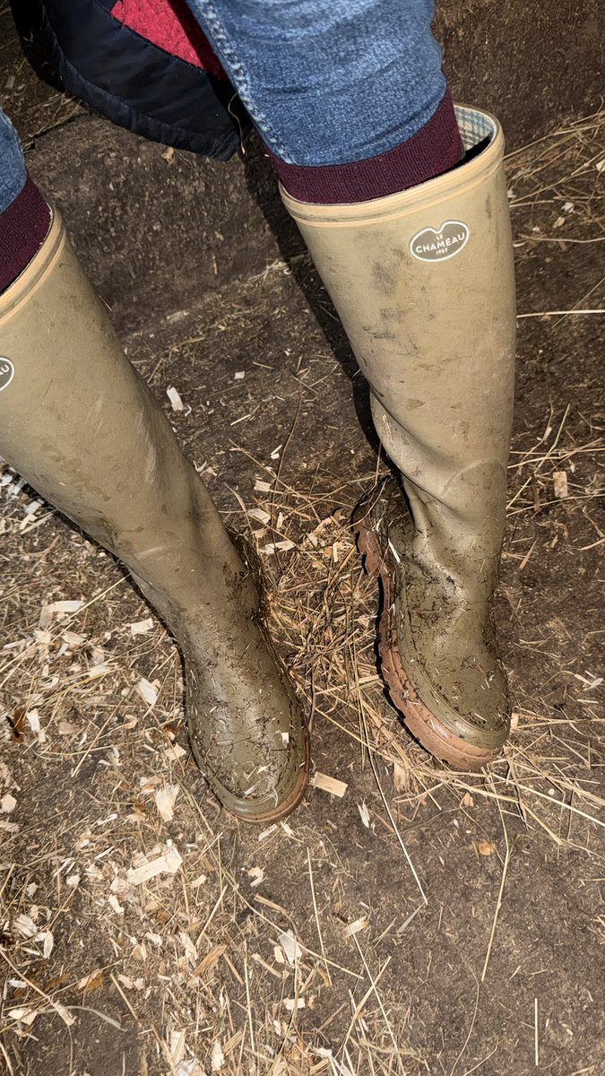 EquiBoots's tweet photo. The Le Chameau’s aren’t the cleanest…..

findom country side sub paysub worship wellies equine riding boots https://t.co/bj1xgEe25y