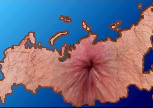 AL90630's tweet photo. @morgana8908093 @SolerJulie31013 @aragon_jb La France et les Français t’emmerdent…  vas exprimer tes frustrations sur un bon divan ou casse toi de ce pays que tu haïs sale porc de collabo. https://t.co/Pn8NgkIKMF