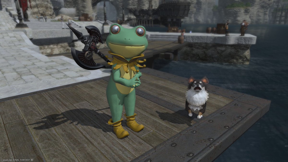 ff14pr5l5's tweet photo. ようやく交換できた🐸
 #FF14 
 #FF14初心者 https://t.co/b2ZEw99GcG
