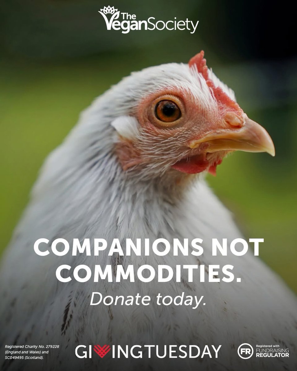ChristenArnell's tweet photo. Veganism is a compassionate choice. This Giving Tuesday and throughout the giving season, help The Vegan Society turn one day of giving into a week. Join a compassionate community making a positive impact. Donate today. https://t.co/grXzDlfzuO
