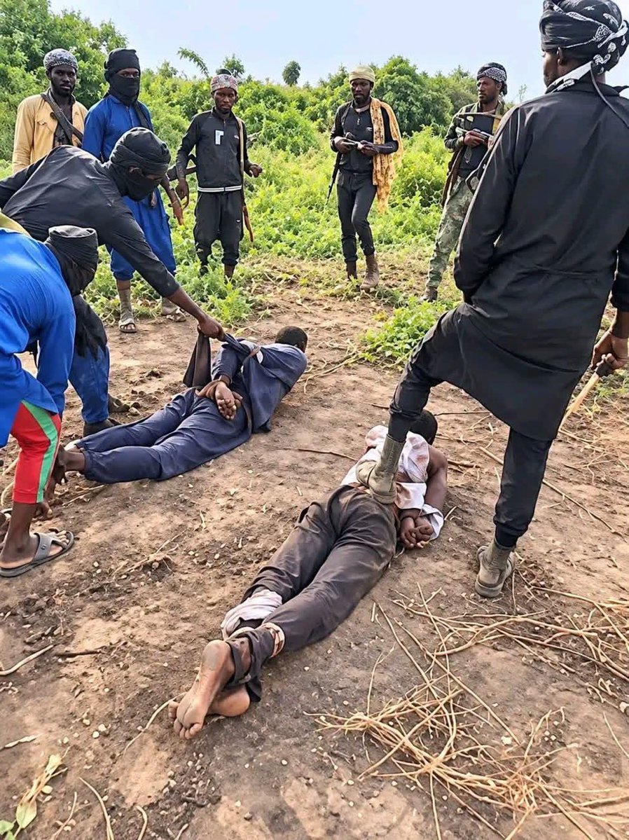 Sarki_sultan's tweet photo. I watched this video and completely lost my peace of mind after seeing how these heartless people brutally slaughtered those men. It was truly heartbreaking. 💔 https://t.co/auBrYzuIeK