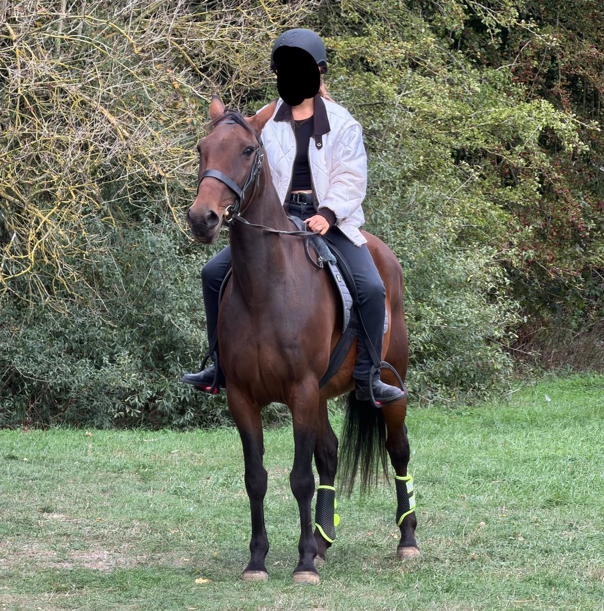 IrenesHairclip's tweet photo. I ride. https://t.co/8ZotRIGP7i