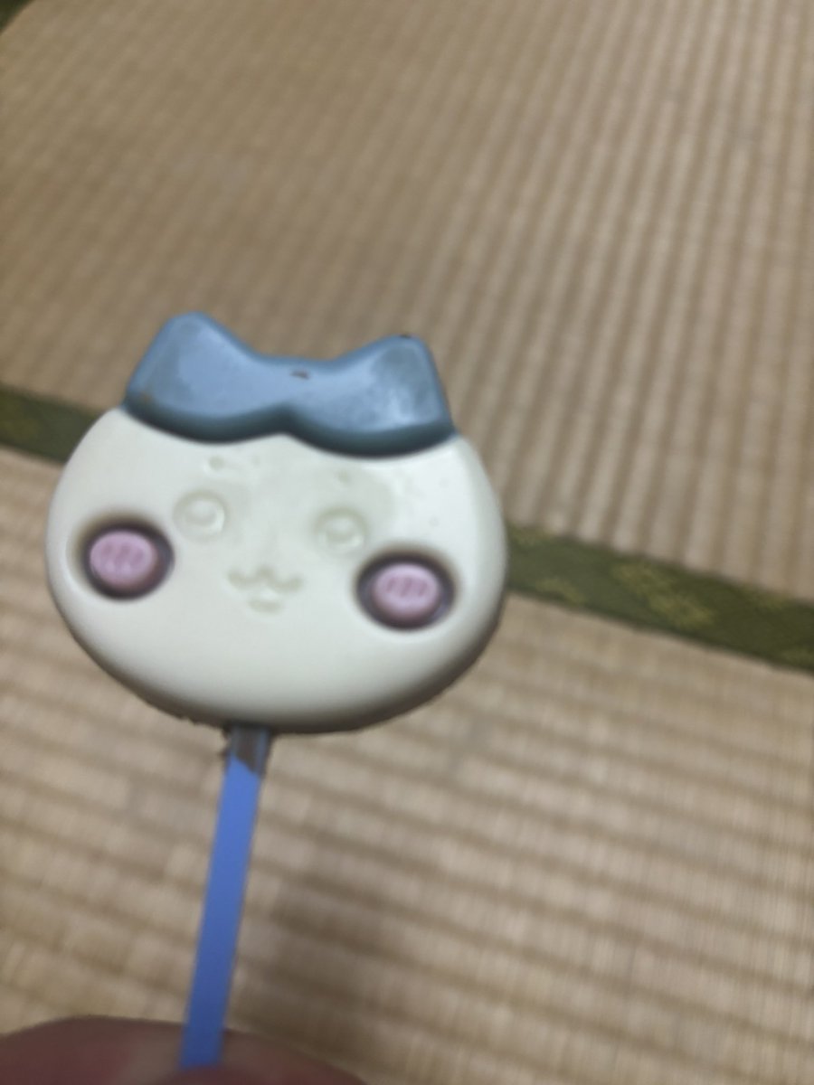 bvil_3's tweet photo. いつかのハチワレ https://t.co/N7qIeEzZdK