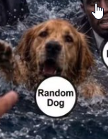 HipposinTutus's tweet photo. @PopcornPost_ GIVE ME YOUR PAW CMON BOY... https://t.co/6IGVbJY0Am