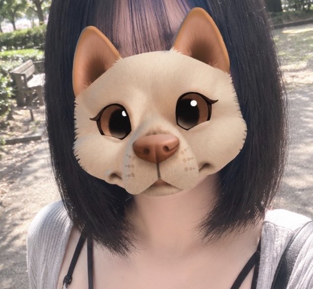marupfp2's tweet photo. 今年の７月にはじめました！
ギフト交換やリモート交換出来る方レイド招待しあえる方海外の方大歓迎👍

🆔 422167030580
無言❌
エロ垢裏アカ女子等をフォローしてる方❌

申請の際はTwitterと紐付けたいのでリプかDMで一言ください
#ポケモンGO
#ポケモンGOフレンド募集 https://t.co/vDDKwRz1D0