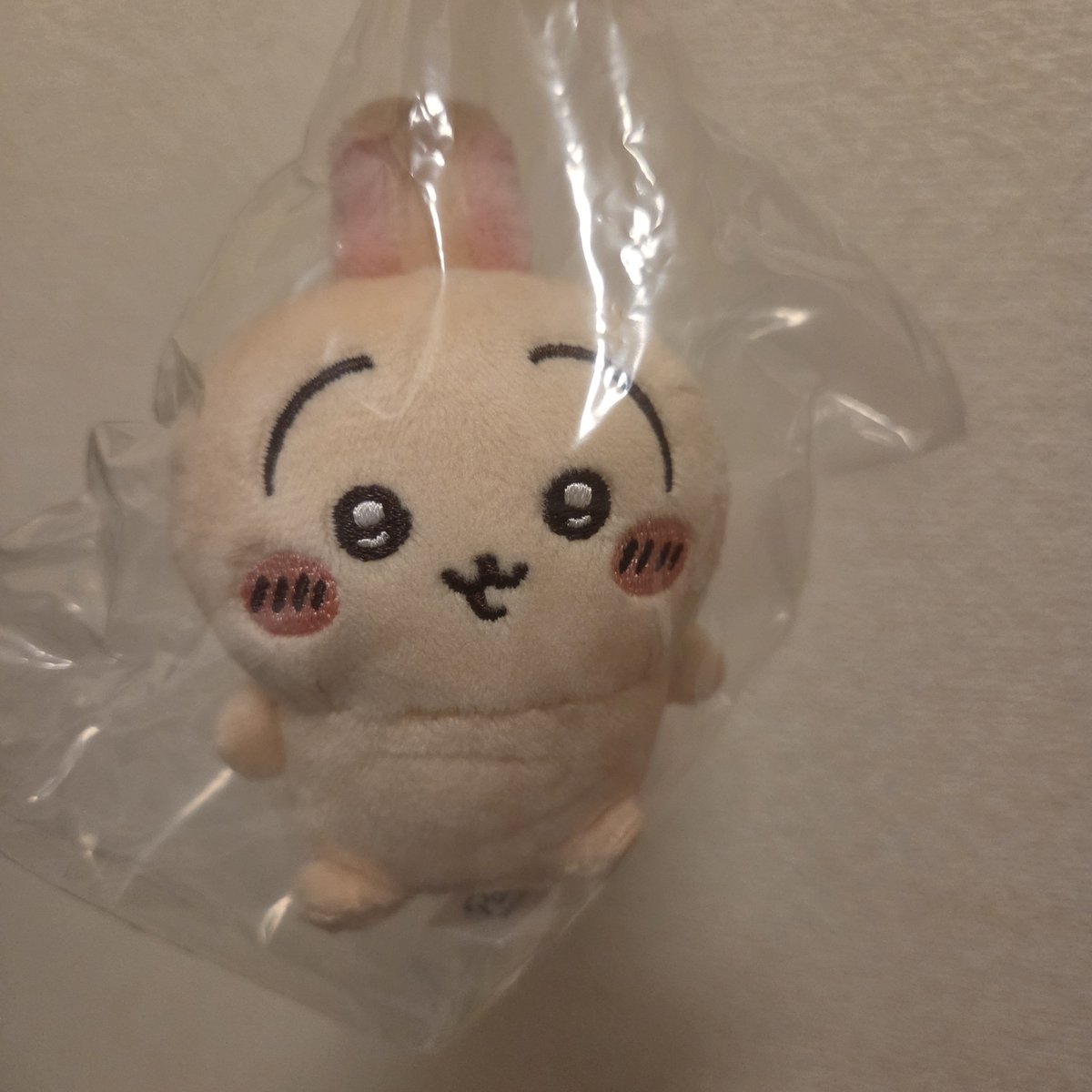 z9ory's tweet photo. グッズ整理してたらおすわりぬいぐるみ出てきて神すぎ、過去の自分ありがとう
1回500円だから渋って1回しか引かなくて、交換探すのも後回しにしてたんだよね😭
同種カニちゃん(古本屋)と交換してくださる方おられましたら…!！ https://t.co/GLDfs1RtHe