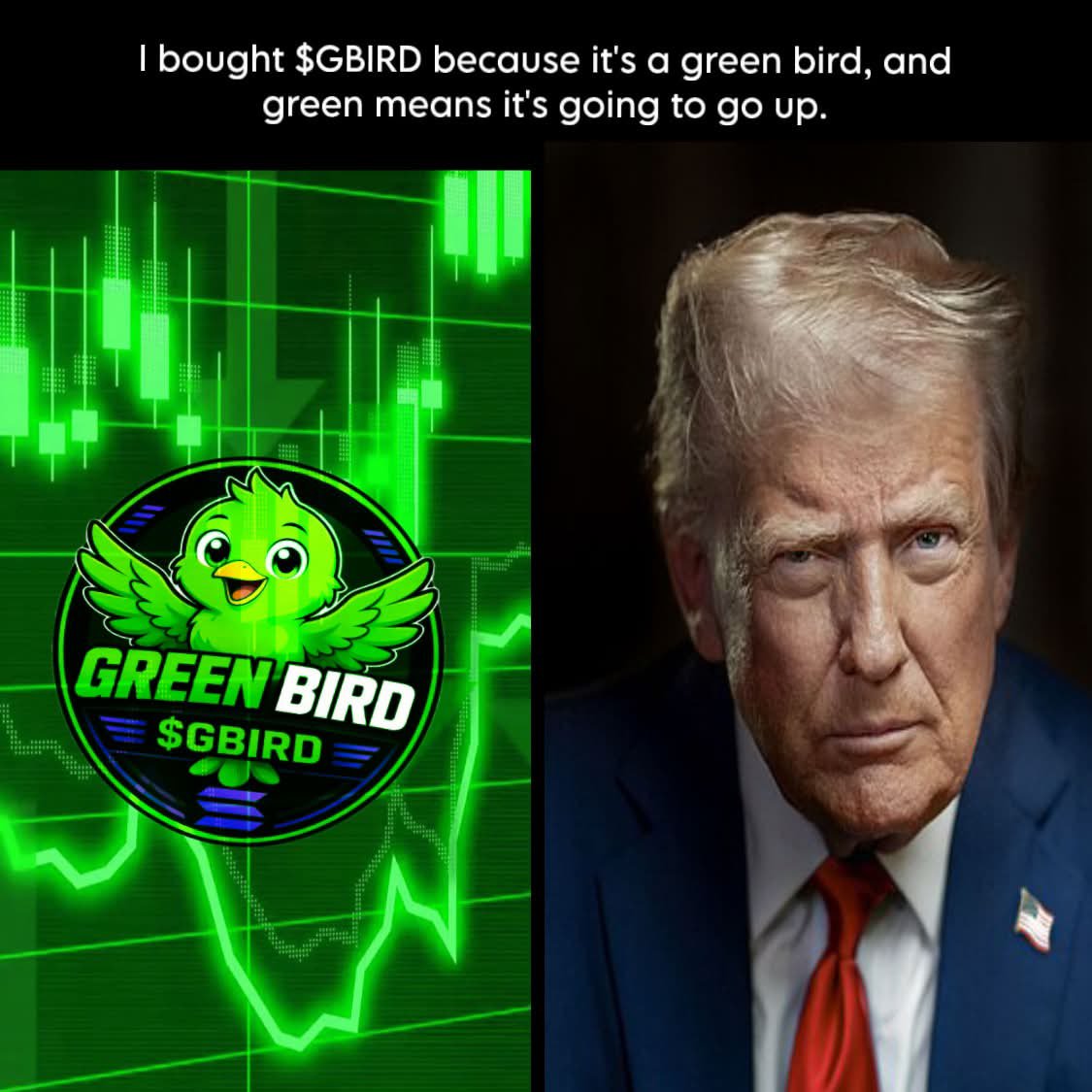 GreenBirdmeme's tweet photo. https://t.co/eYuo08QWVH