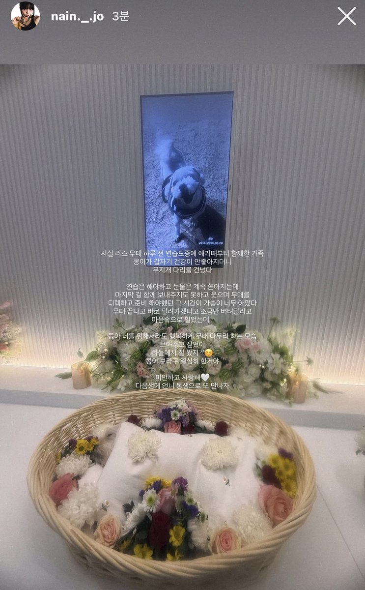 nlngyoo's tweet photo. 아........
세상이나인이한테왜이렇게가혹해........
엠넷이>라스<라는ㅁㅊ거 안만들엇으면......
아아......... https://t.co/Hfulmh4nxh