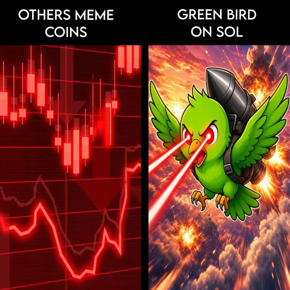 GreenBirdmeme's tweet photo. https://t.co/xvvZG5lnSN
