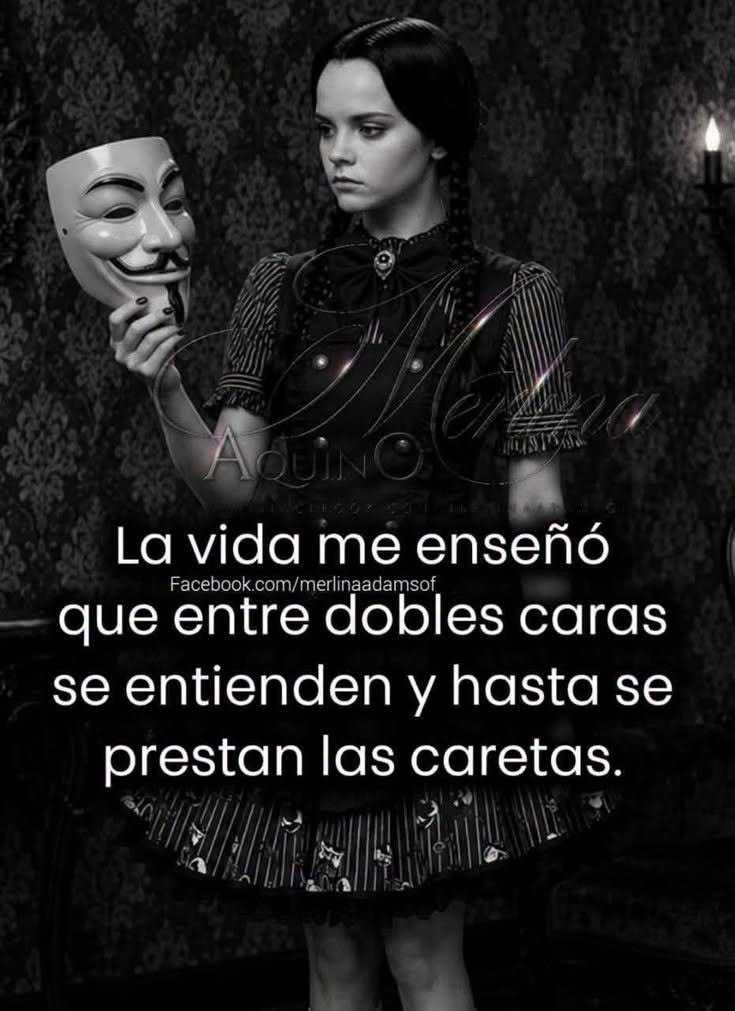 maxin_bi's tweet photo. https://t.co/AZ5zplT2kq