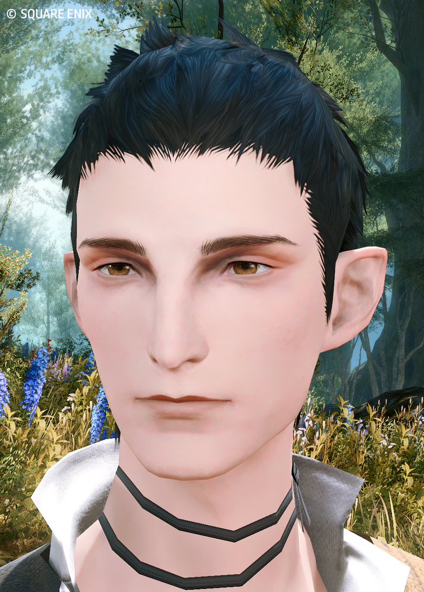 candy3FF14's tweet photo. よーしイケエレ作るぞ！と意気込んでキャラクリしたら草彅剛が出来上がった深夜。 https://t.co/UgGgEZ6Kvb