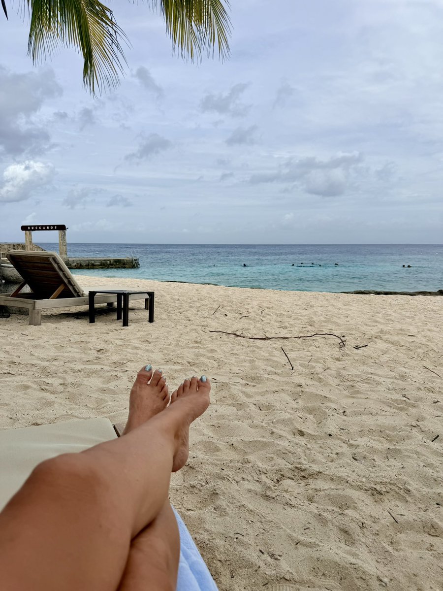 DaniH916's tweet photo. 27 days until my feet find the sand under them again. Not that I’m counting….

#beachtoes #sandyfeet #Cozumel #BucannosBeachClub #2ndhome https://t.co/LeNHHlzJuk