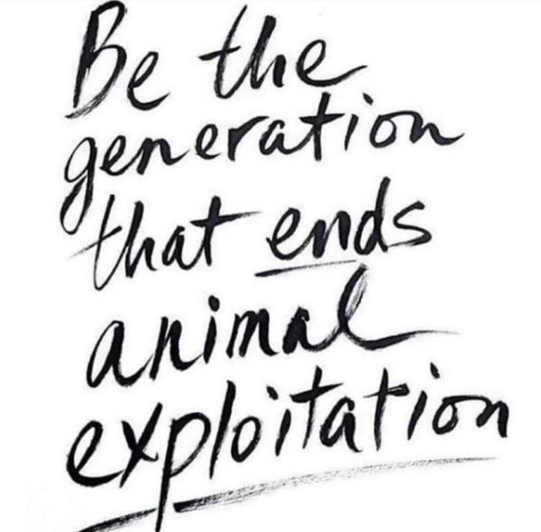 veganfuture's tweet photo. https://t.co/JXoKwmnslj