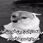 Photo by قاظم کلمچی and 999 others (@ghkalamchi)