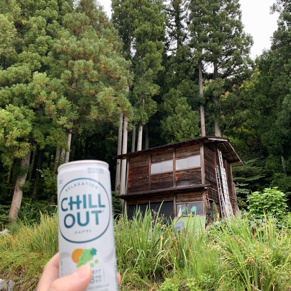 mono041595's tweet photo. 白川郷を散歩して、家の掃除をして、富山の刺身と高原のクリームコロッケで優勝していく夜(´I `*)🥇 https://t.co/BASuNvM3Fi