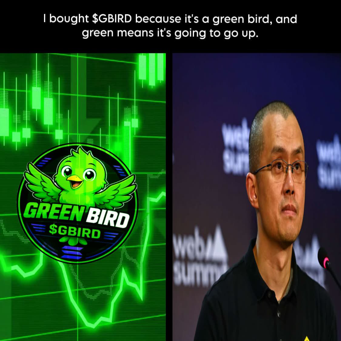 GreenBirdmeme's tweet photo. https://t.co/ftyQemNqln