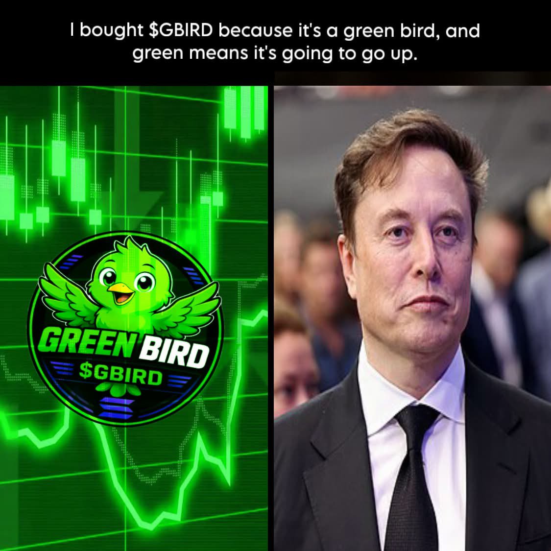 GreenBirdmeme's tweet photo. https://t.co/n4VaisloR0