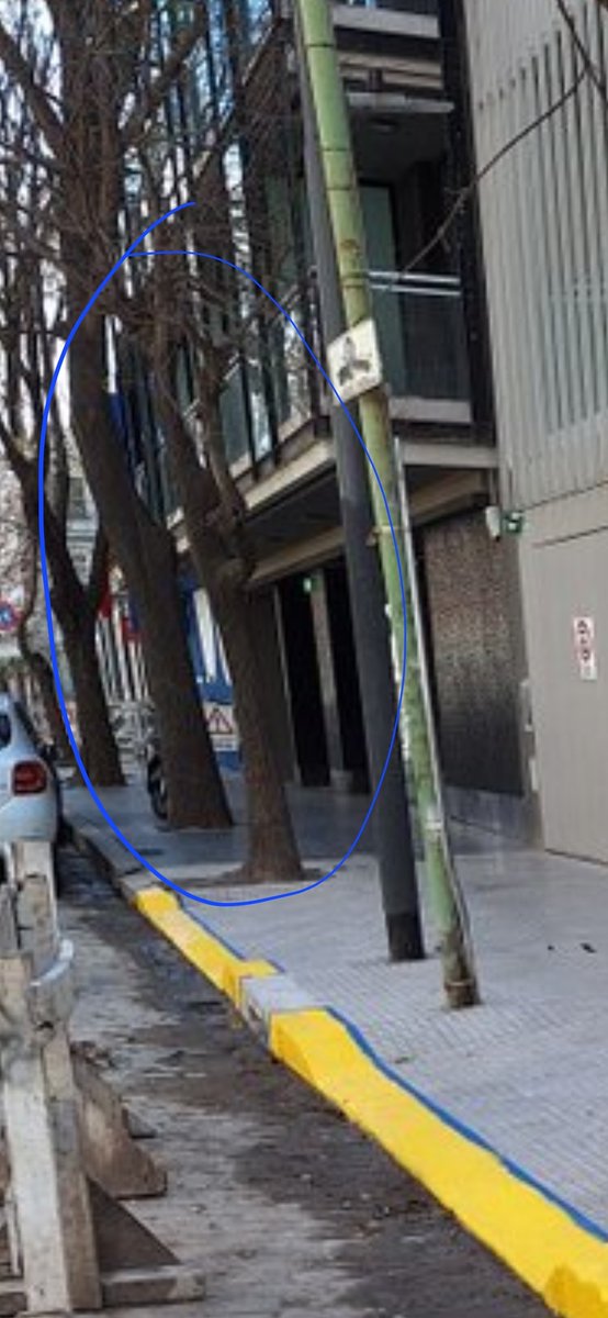 ObradorBA's tweet photo. Como no les alcanzaba con 3 garage, ahora sacaron un árbol para tener más lugar
El descontrol es TOTAL @bacomuna14 @CominVillanueva @BAInfraest https://t.co/0N4QYQNEG1