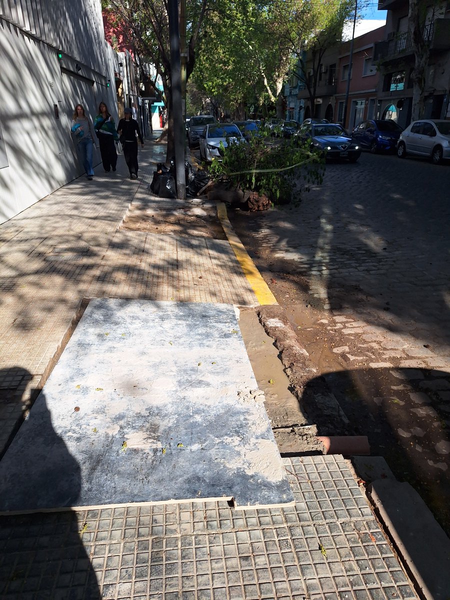 ObradorBA's tweet photo. Como no les alcanzaba con 3 garage, ahora sacaron un árbol para tener más lugar
El descontrol es TOTAL @bacomuna14 @CominVillanueva @BAInfraest https://t.co/0N4QYQNEG1