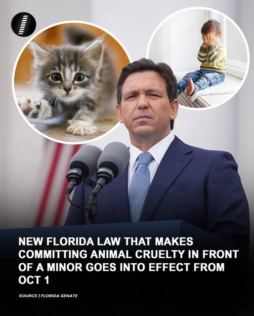 tiger26931's tweet photo. Florida Senate Bill 559 takes effect on October 1, 2026, creating third-degree felony charges for adults who commit aggravated animal cruelty, animal baiting, fighting, or sexual acts with animals in the presence of a minor or induce a minor to participate. https://t.co/LRRqXgmP3f