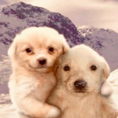 79x76's tweet photo. @DailyToyaAoyagi 내리치고 안아드릴게요…💕 https://t.co/wY3J87fVAh