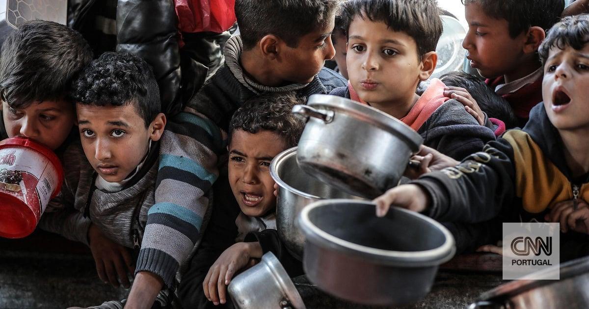 cnnportugal's tweet photo. Jorge Moreira da Silva: “45 milhões de pessoas podem ser empurradas para uma situação de fome até ao final do ano” https://t.co/CudsXWssPo https://t.co/ghA5hecV1z