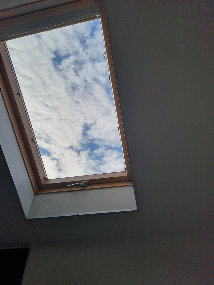 vileb4yle's tweet photo. what blessed me suddenly https://t.co/kxzj8W8JOf