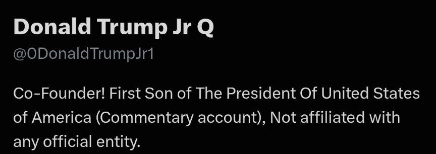procurehome's tweet photo. @0DonaldTrumpJr1 Y'all believe this shit.  This account does nothing but stir the pot.  It isn't even the real Don Jr. https://t.co/z9EXXx0kZX