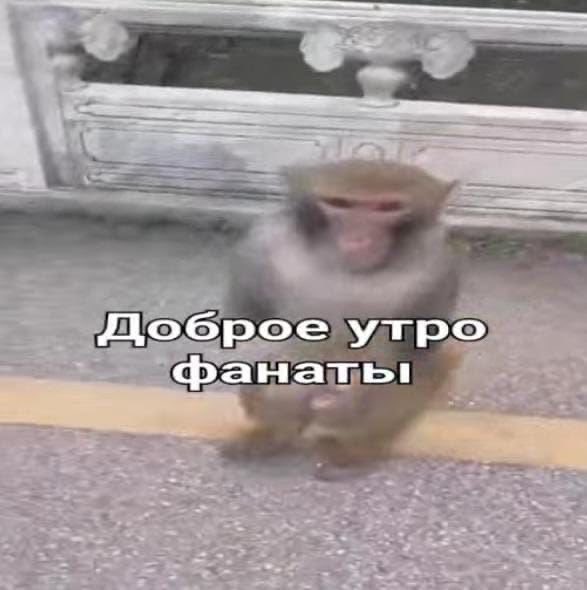 DianaSineglaska's tweet photo. Почему никто меня  взаимно не читает , я настолько не вайб? https://t.co/NvXchoETnN