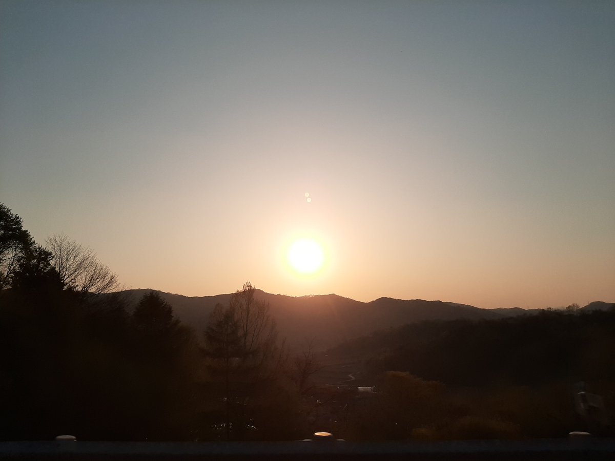 qpas99's tweet photo. 내 갤러리 속 4만 장 사이 레전드 사진 https://t.co/rqfjJlWmzs