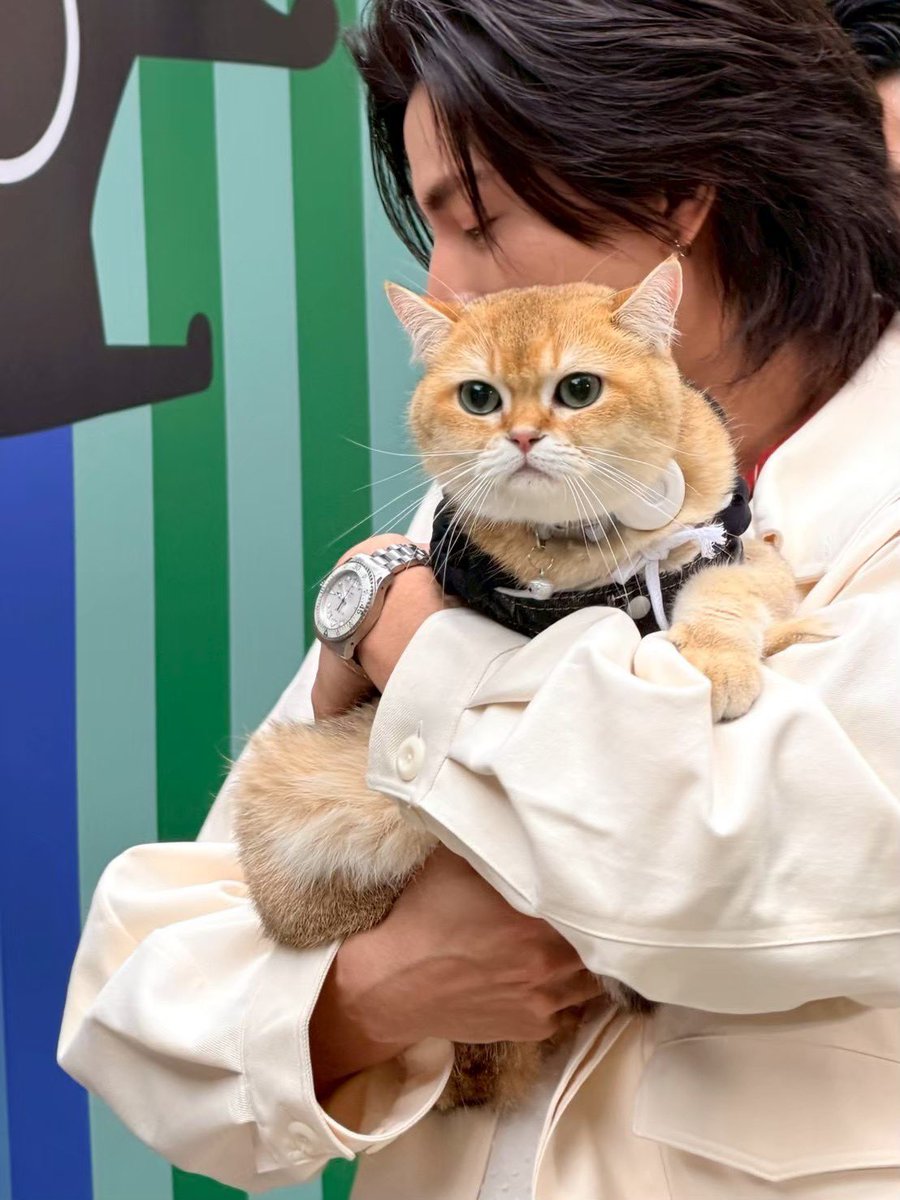 VIF_FC's tweet photo. เป็นเด็กดีสุดหล่อของพี่วิฟ🐱🎂
แต่เป็นไอดื้อของป๊ากลัฟ🤣

#ก็องเต้แมวซน https://t.co/NHrAO4zl44