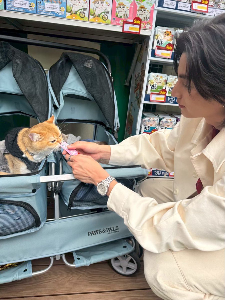 VIF_FC's tweet photo. เป็นเด็กดีสุดหล่อของพี่วิฟ🐱🎂
แต่เป็นไอดื้อของป๊ากลัฟ🤣

#ก็องเต้แมวซน https://t.co/NHrAO4zl44