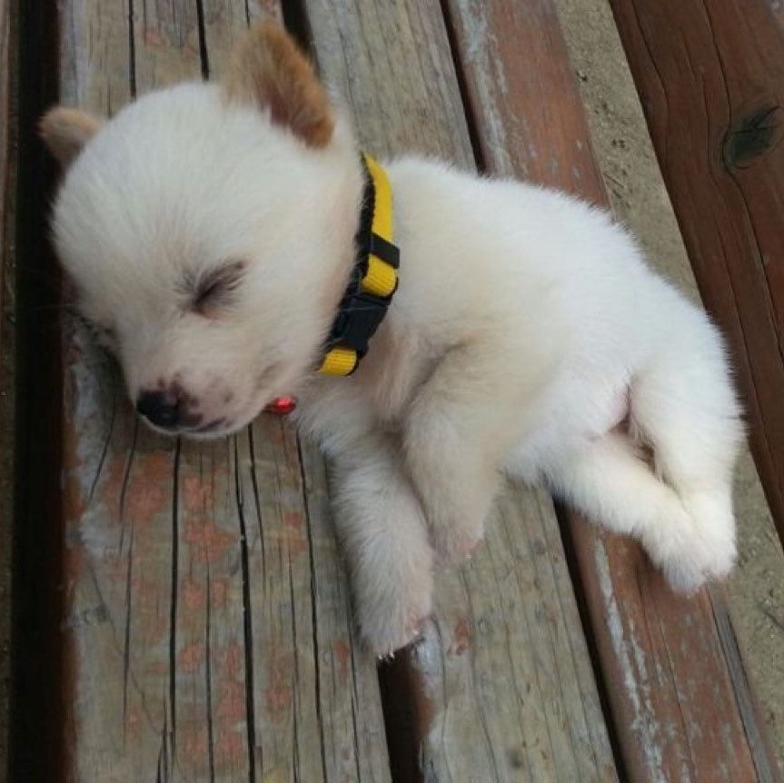 cshpuppy's tweet photo. #상현 #정상현 #SANGHYEON https://t.co/RkOEfUNBVR