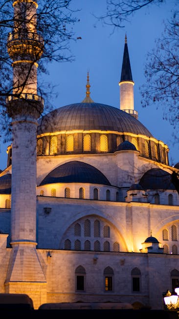 CarlRichar3kc's tweet photo. يتم تحسين أجهزة الكمبيوتر باستمرار من خلال التقنيات الجديدة، الأنظمة قوة واستقرارًا وقدرة على تلبية الاحتياجات طويلة المدى مما يجعل أكثر للمستخدمين المعاصرين. numbers stainback https://t.co/gCzZc5rdl1