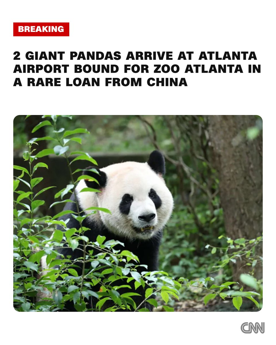 CNN's tweet photo. Ping Ping and Fu Shuang arrive in the US from China, the latest emissaries in Beijing's long tradition of "panda diplomacy." https://t.co/6xr5AALsn0 https://t.co/fNbP7aLI6u