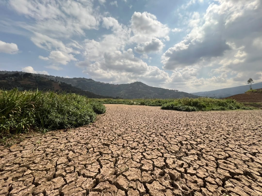 shiny_africa's tweet photo. This dried-up wetland stands as a stark visual reminder of the heavy toll climate change and human activities levy on vital ecosystems. Wetlands act as nature's sponges, regulating water flow, filtering pollutants, and curbing downstream flood risks. 

However, prolonged droughts and rising global temperatures have transformed what should be a lush, water-filtering sanctuary into a fractured desert of baked mud. This loss ripples far beyond the cracked lakebed, directly threatening the unique plant and animal biodiversity that relies on seasonal water cycles to survive.