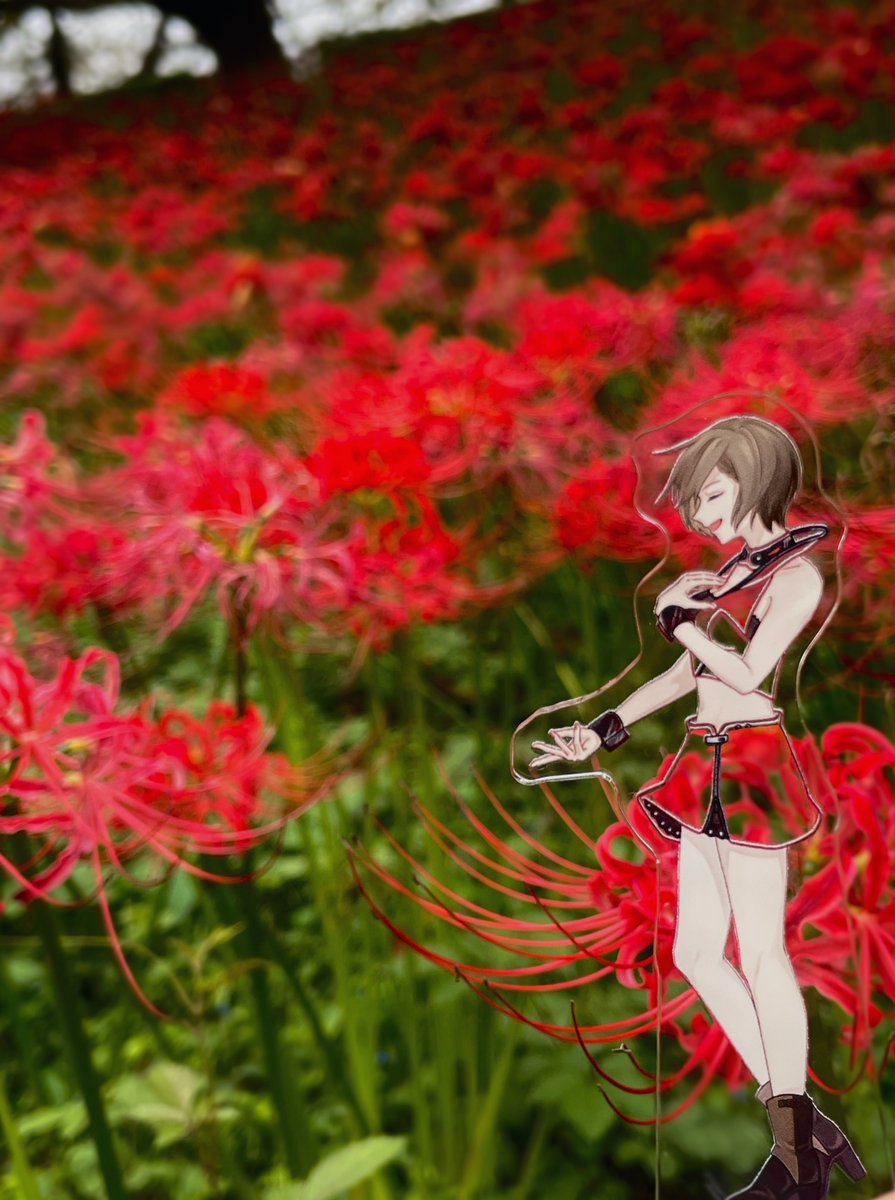 yomi_kai0131's tweet photo. #MEIKO
#透MEIKO https://t.co/h8RWfwd1Ru