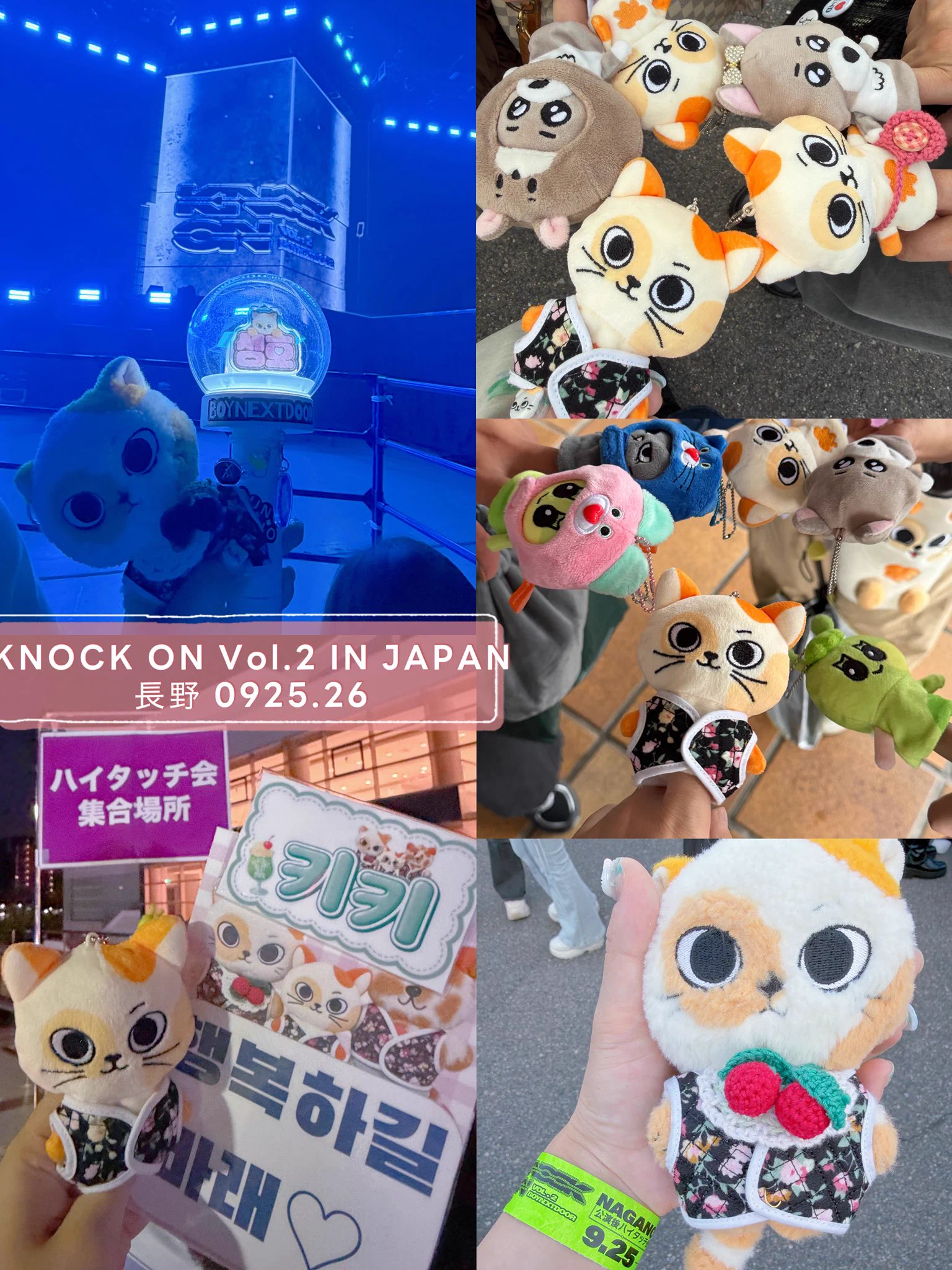 🚪🐈ྀི⸒⸒⸒⸒creamsoda to kiki (@creamsodatokiki) / X