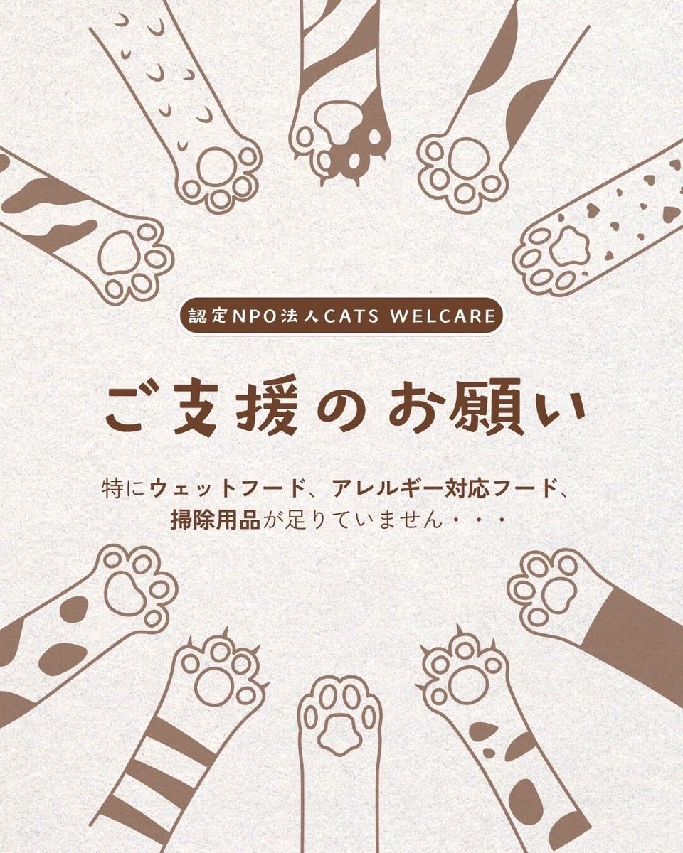 CWelcare's tweet photo. 【ご支援のお願い🙇‍♀】

現在、保護猫たちの生活に欠かせない
🐾ウェットフード
🐾アレルギー対応フード
🐾掃除用品
が不足しています

1点からでも、大きな助けになります

▼Amazonほしい物リストはこちら🔗 https://t.co/UNGizt56Vm

#保護猫 #CATSWELCARE #ご支援のお願い https://t.co/XS0BI2xtBA