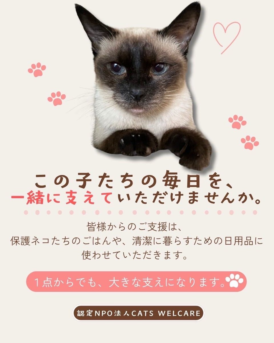 CWelcare's tweet photo. 【ご支援のお願い🙇‍♀】

現在、保護猫たちの生活に欠かせない
🐾ウェットフード
🐾アレルギー対応フード
🐾掃除用品
が不足しています

1点からでも、大きな助けになります

▼Amazonほしい物リストはこちら🔗 https://t.co/UNGizt56Vm

#保護猫 #CATSWELCARE #ご支援のお願い https://t.co/XS0BI2xtBA