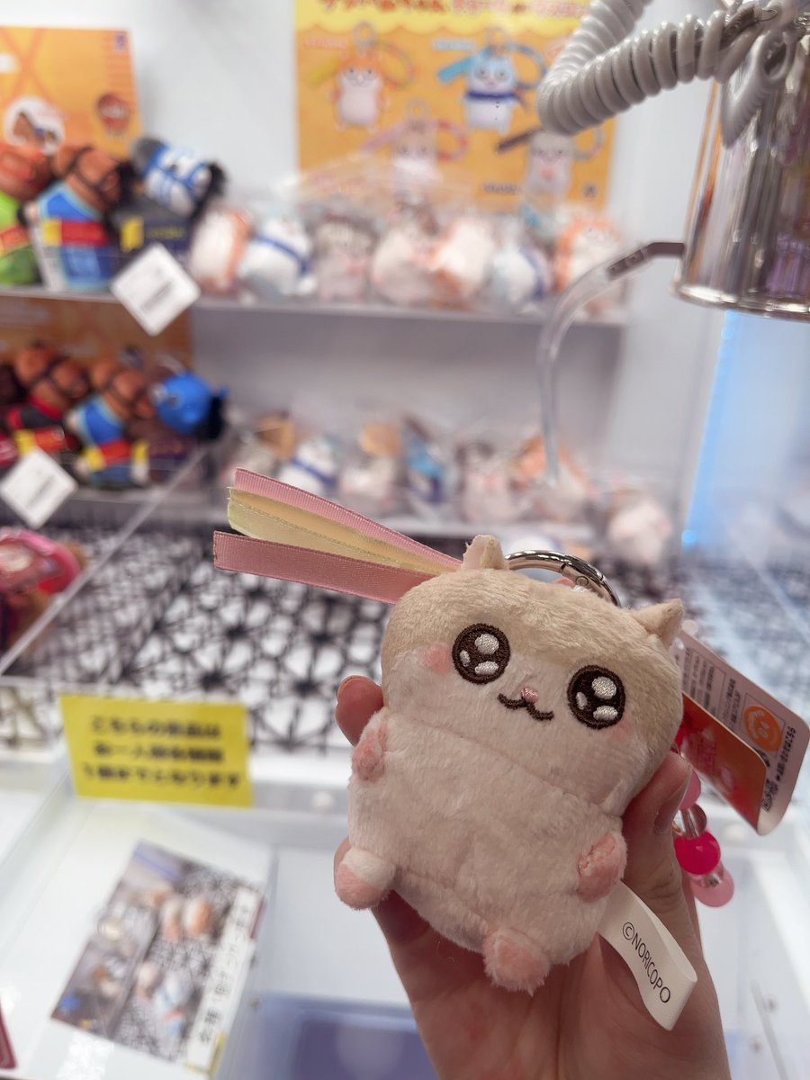 usagiuri_uoxou's tweet photo. 連れてってもらった❕
こびはむちゃん少なかったけど無事保護した🐹 https://t.co/3Adw4xXPRq