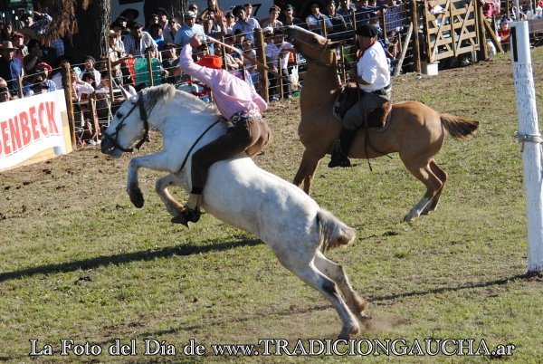 tradiciongaucha's tweet photo. 📸 #FotoDelDía #Jineteada #Tradición
https://t.co/oIN5NfkW12 https://t.co/XeTrjIoxCK