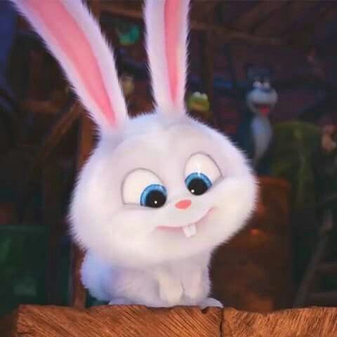 14prils's tweet photo. กินเข้าไปปุ๊บตาโตลุกว้าวเลย เหมือน snowball จังลูก https://t.co/j3mSD7mWh8