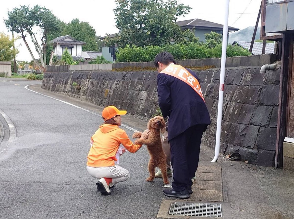 pocketkoki's tweet photo. 選挙戦１日目。

党員さん達が手分けしてポスターを貼ってくださいました。

掲示板の番号は参政党の「３」番でした！
#宇土市議会議員選挙
#門内こうき https://t.co/0M4RWSKGe1