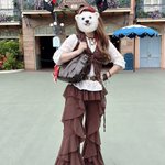 Photo by 底眩(まぶし) (@gyosite)